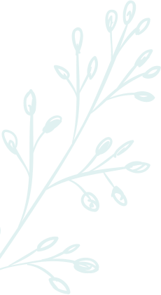 transparent-light-plant-icon-the-fusion-style